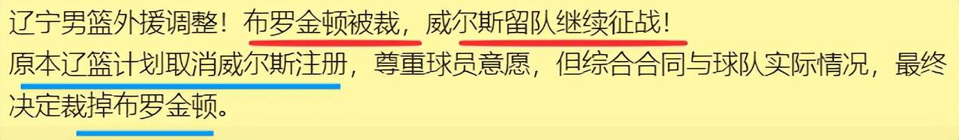 辽篮五外援困局深度解析:布罗金顿主动离队的战术逻辑与阵容博弈 体育新闻