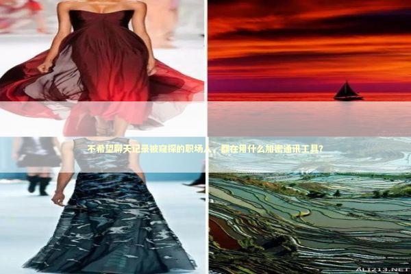 不希望聊天记录被窥探的职场人，都在用什么加密通讯工具？ IT技术