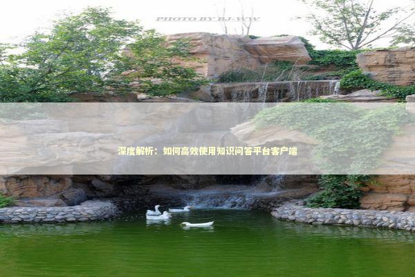 深度解析：如何高效使用知识问答平台客户端