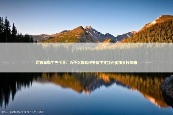 购物车躺了三个月：为什么你始终无法下定决心买那只行李箱